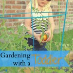 gardening with a toddler | mybigfathappylife.com