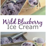 Wild Blueberry Ice Cream | mybigfathappylife.com