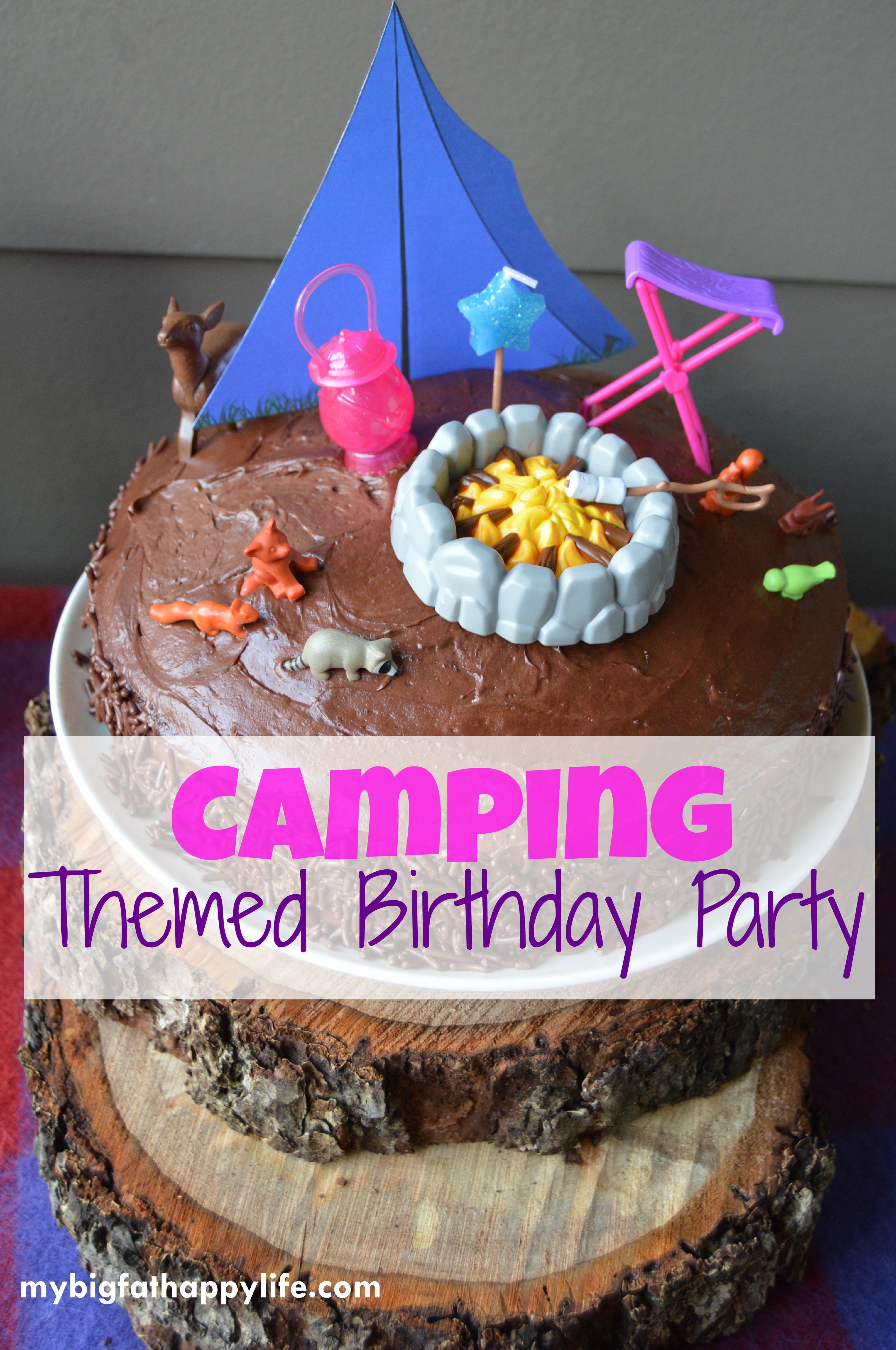 Camping Themed Birthday Party My Big Fat Happy Life