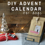 DIY Advent Calendar for Dogs | mybigfathappylife.com