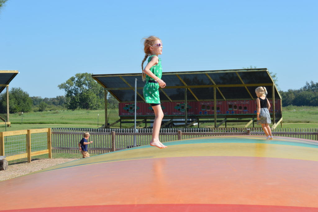 Barton Hill Farms Fall Festival and Corn Maze - Austin, TX | mybigfathappylife.com