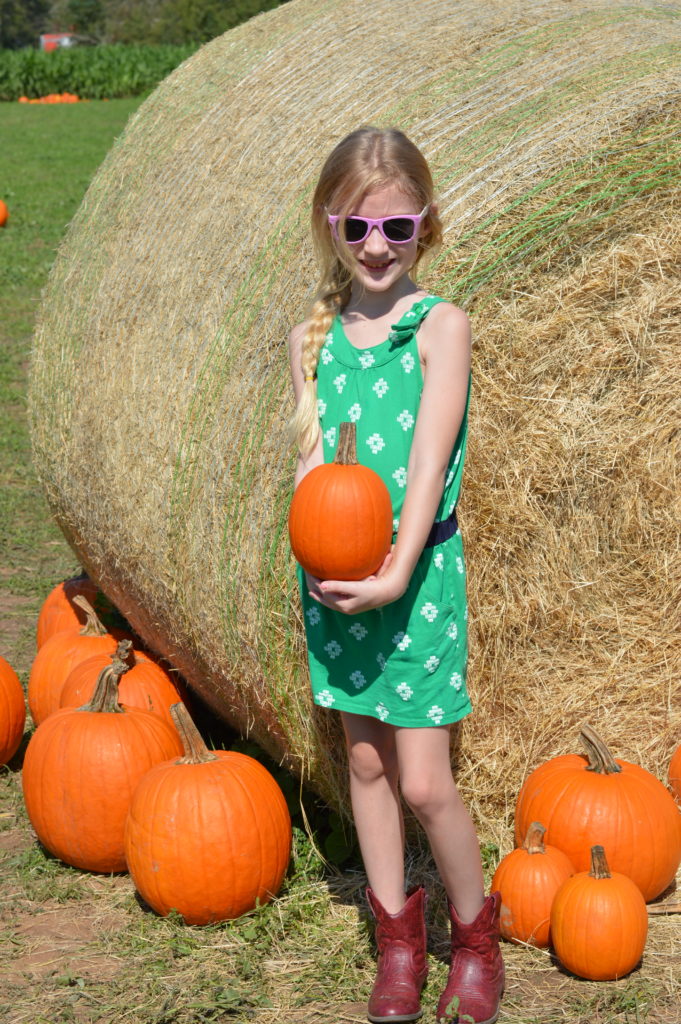 Barton Hill Farms Fall Festival and Corn Maze - Austin, TX | mybigfathappylife.com