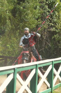 7 Tips for Visiting the Texas Renaissance Festival #texrenfest #hosted | mybigfathappylife.com