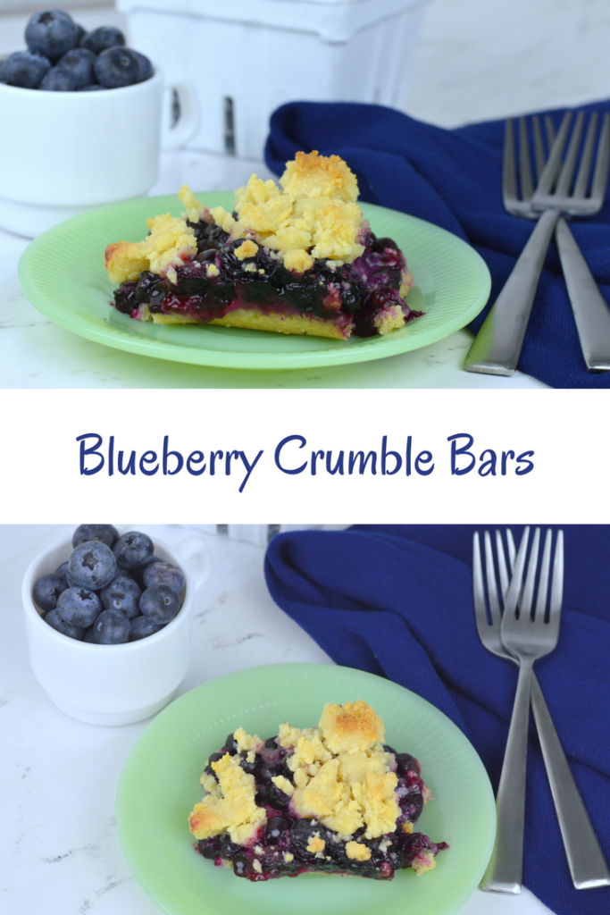 Blueberry Crumb Bars - My Big Fat Happy Life