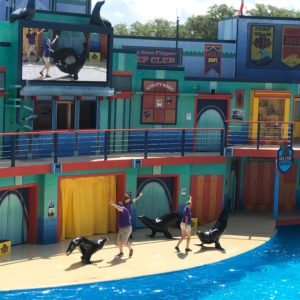 15 Tips for Visiting SeaWorld San Antonio