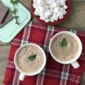 This frothy, creamy delicious homemade peppermint hot chocolate only requires three ingredients to make.