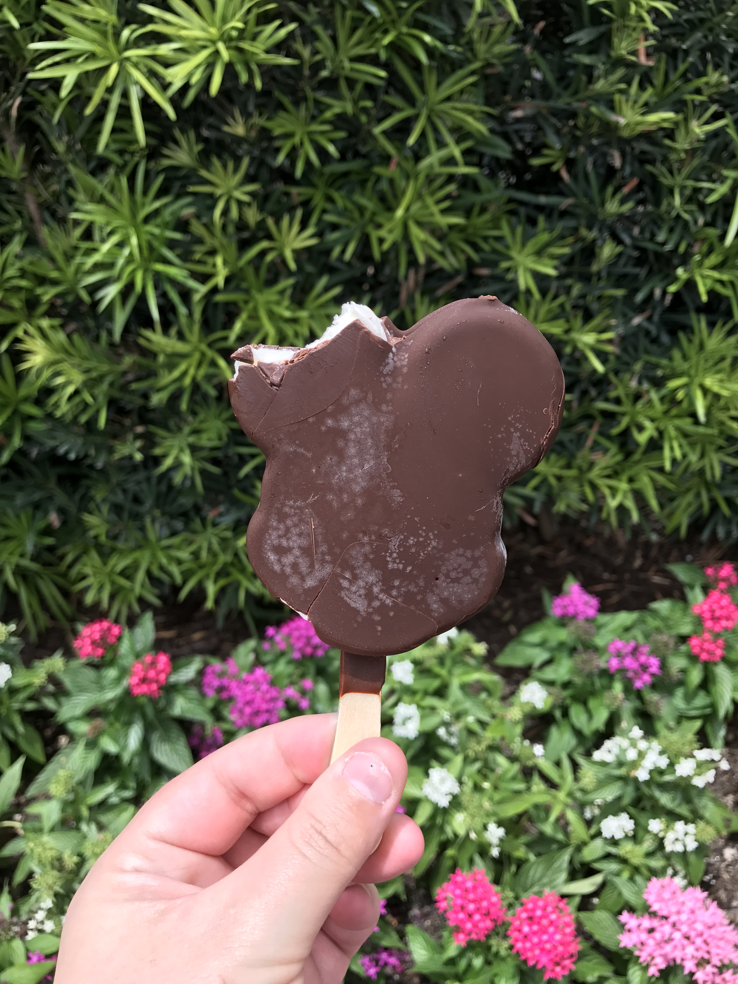 Disney Springs Mickey Ice Cream My Big Fat Happy Life