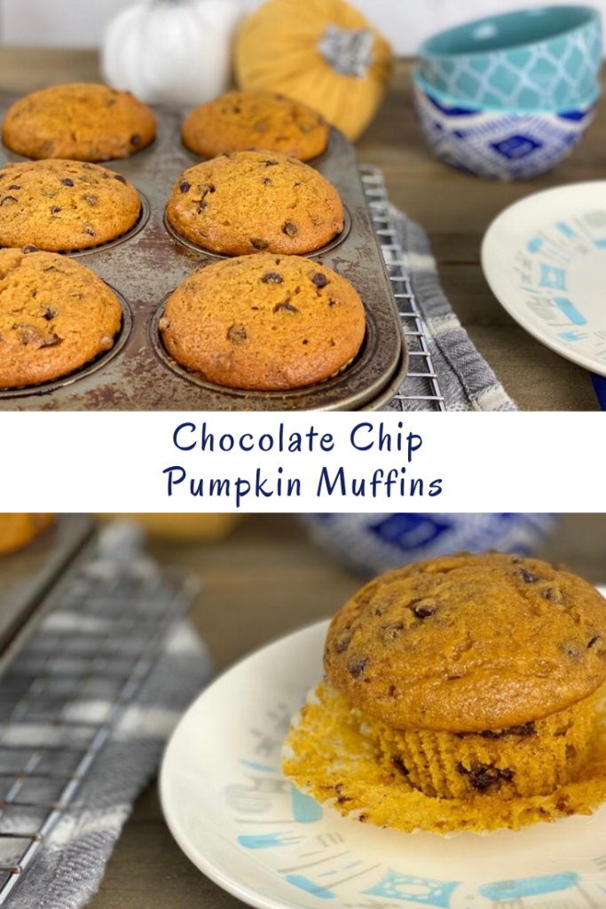 These chocolate chip pumpkin muffins are packed with fragrant fall spices, pumpkin flavor, and chocolate chips.  It is quintessential fall in every bite!