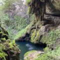 This beautiful grotto at the Westcave Preserve is a hidden gem in the Austin, Texas area.