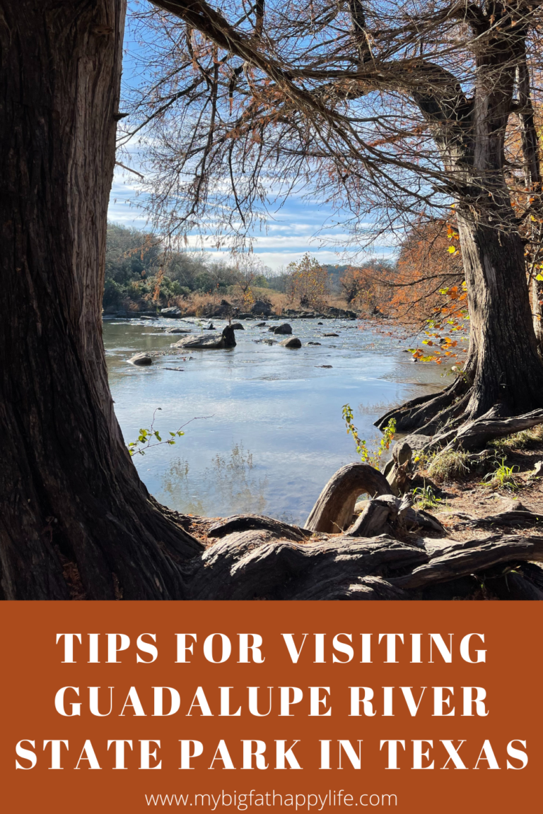 Tips for Visiting Guadalupe River State Park in Texas - My Big Fat ...