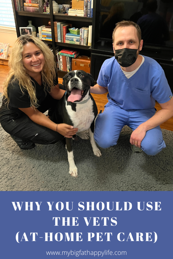 All the reasons why you should use The Vets a mobile veterinary service that provides medical care in the comfort of your home.