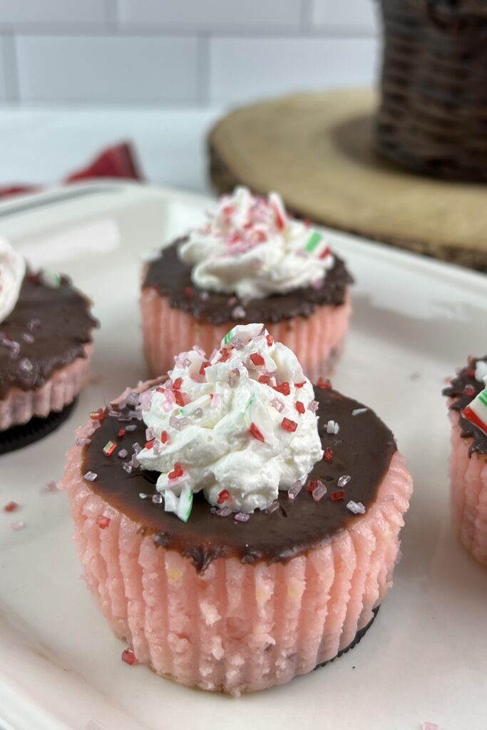 Mini Chocolate Peppermint Cheesecakes