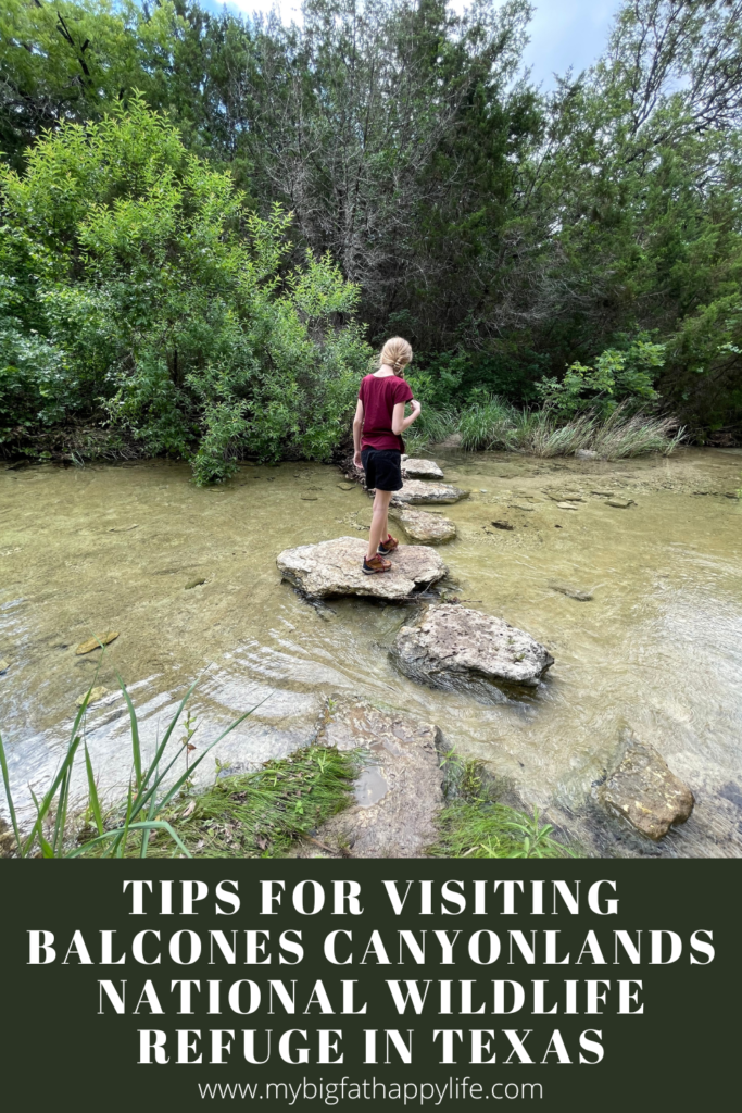 All the tips and reasons you should visit Balcones Canyonlands National Wildlife Refuge near Austin, Texas. 