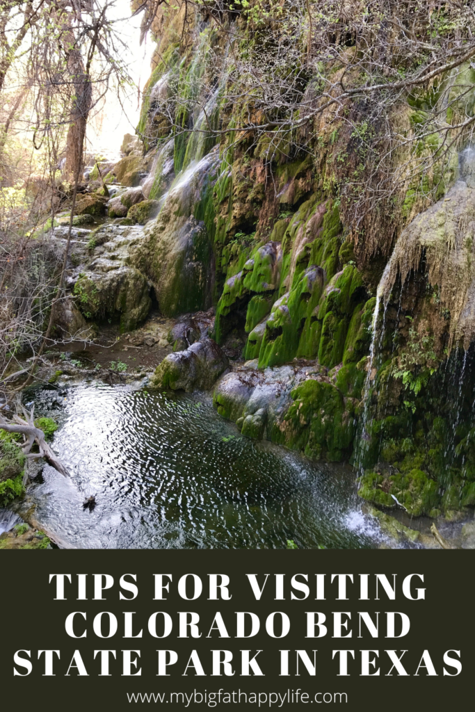 Tips for Visiting Colorado Bend State Park in Texas