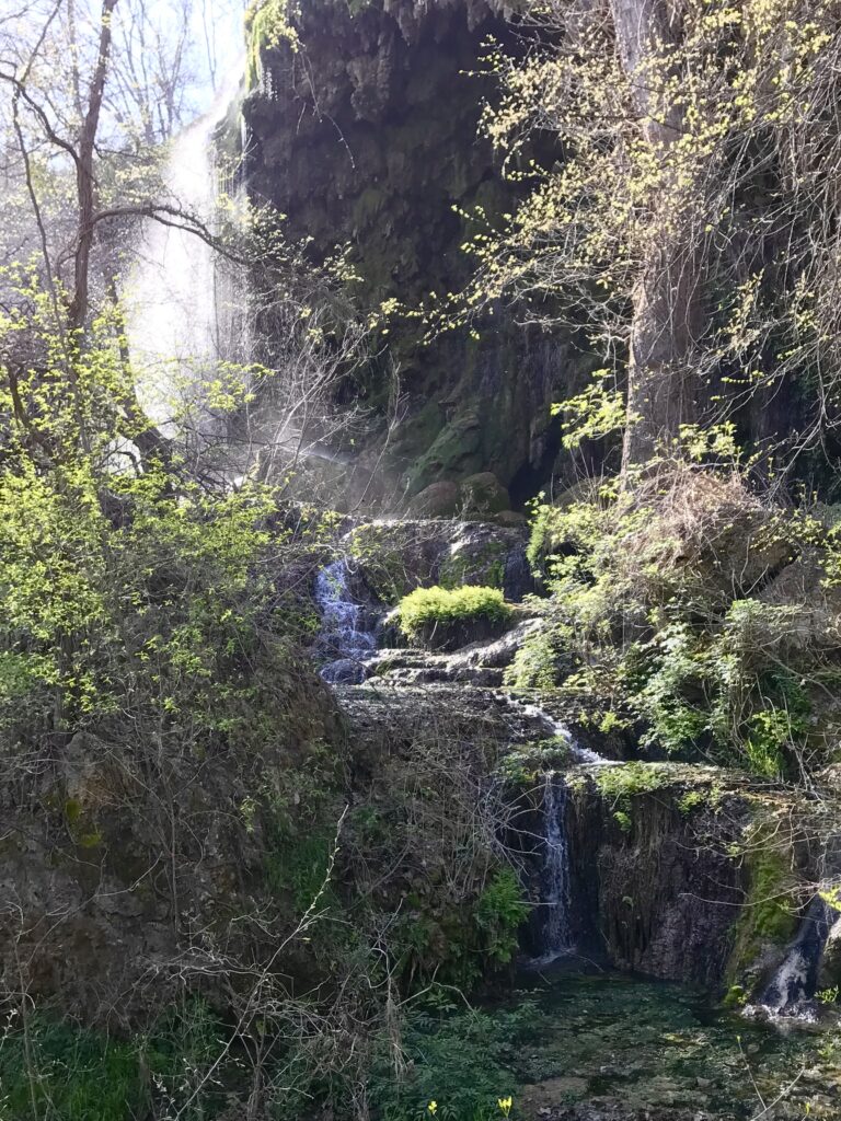 Tips for Visiting Colorado Bend State Park in Texas