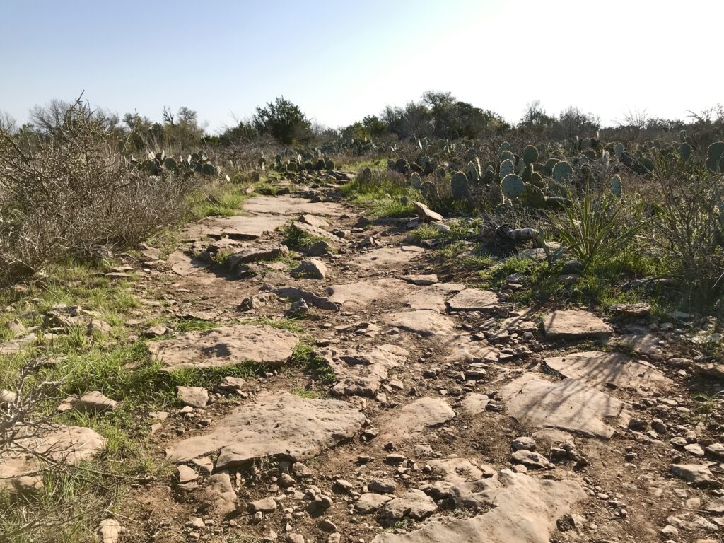 Tips for Visiting Colorado Bend State Park in Texas