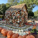 A look at what to do and see when spending a fall weekend in and around Dallas, Texas.