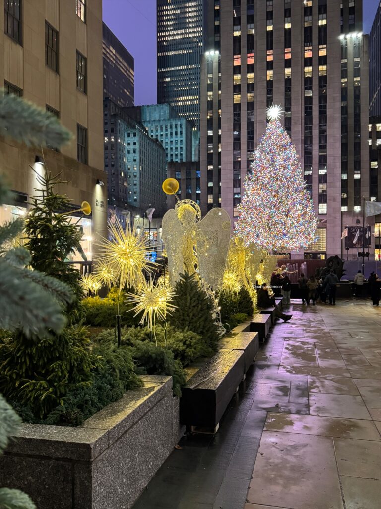 Guide to Visiting New York City at Christmas Time